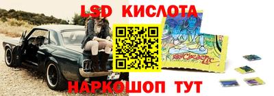 прущие крисы Будённовск