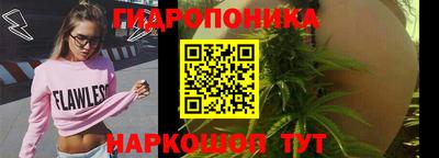 прущие крисы Будённовск