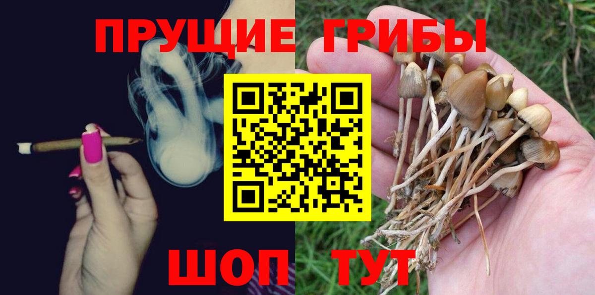Псилоцибиновые грибы Psilocybine cubensis  Вход с VPN  Приморско-Ахтарск  Псилоцибиновые грибы GOLDEN TEACHER 